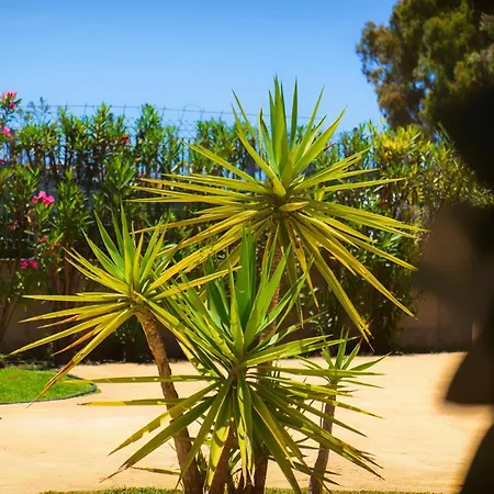 Sardiniarooms * 아르바탁스