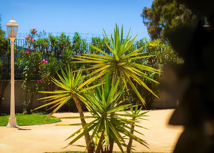 Sardiniarooms * Àrbatax